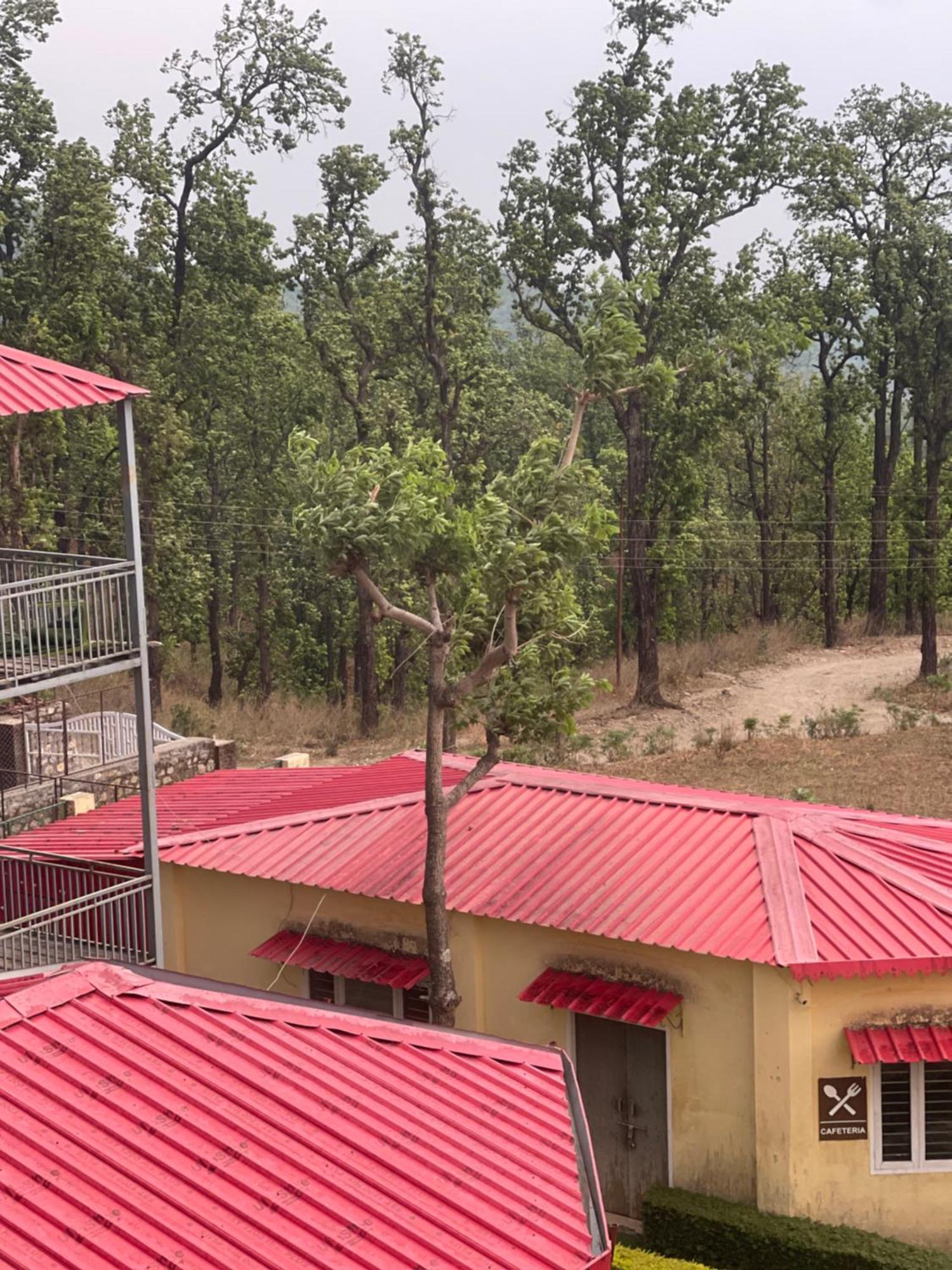 Hidden Nature Resort Dehradun Bagian luar foto